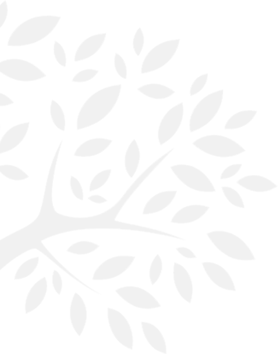 leaf left shape1 leaf left shape1